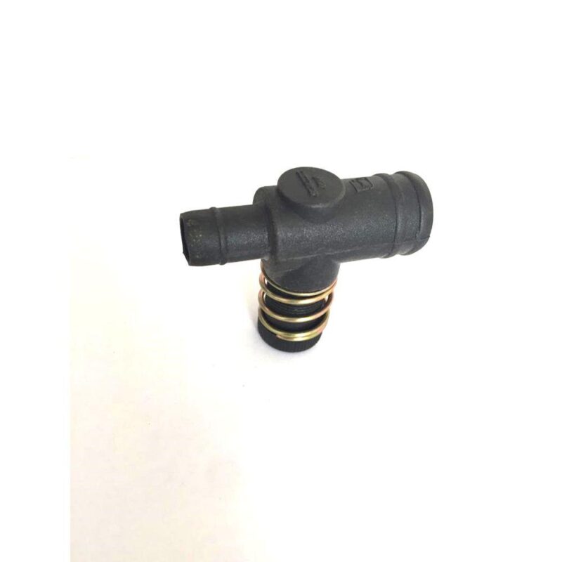 شیر حداکثر یک سر کوچک